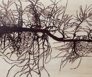 Bild_Galerie_Crameri